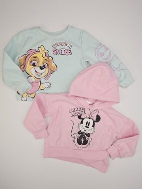 5/$25 Paw Patrol & Minnie Mouse Toddler Sweaters Bundle Size 3T